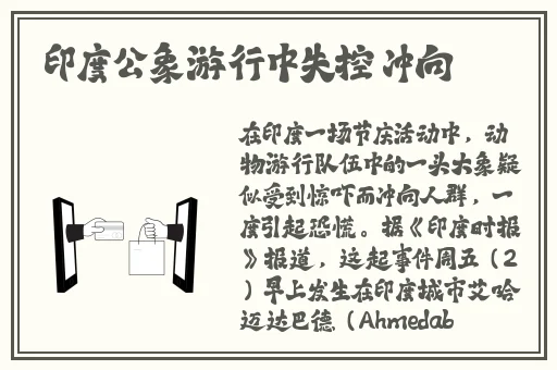 打扑克不打马塞克