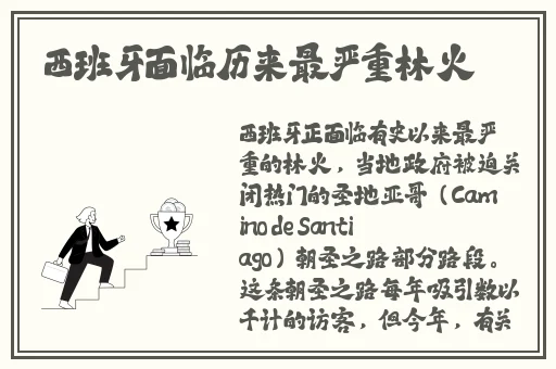 欧美尺码和日本尺码精品一区二区三区